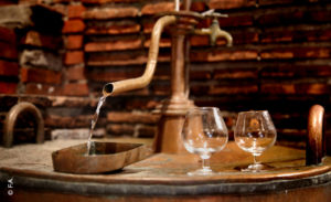 Distillation Ognoas